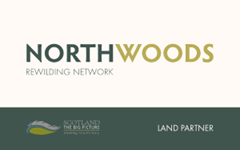 Northwoods Network Logo