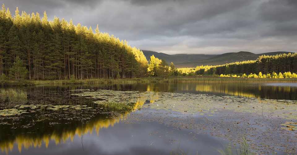 THE CAIRNGORMS